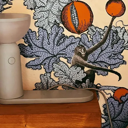 San Ranieri Tiny Tower Piza